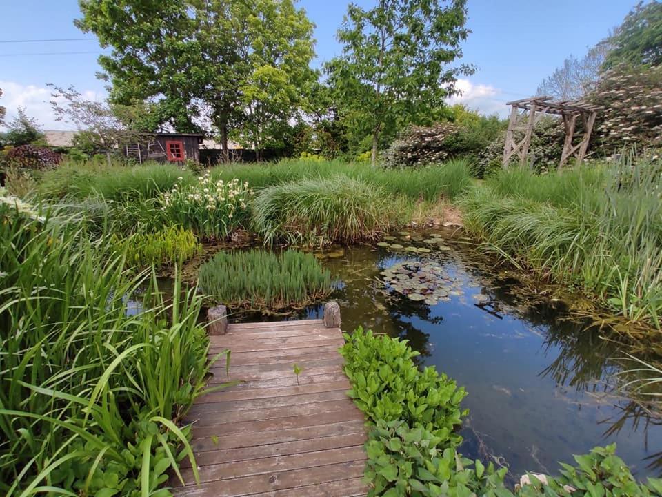 فيلا Au Jardin De La Marquetterie Cigogne المظهر الخارجي الصورة