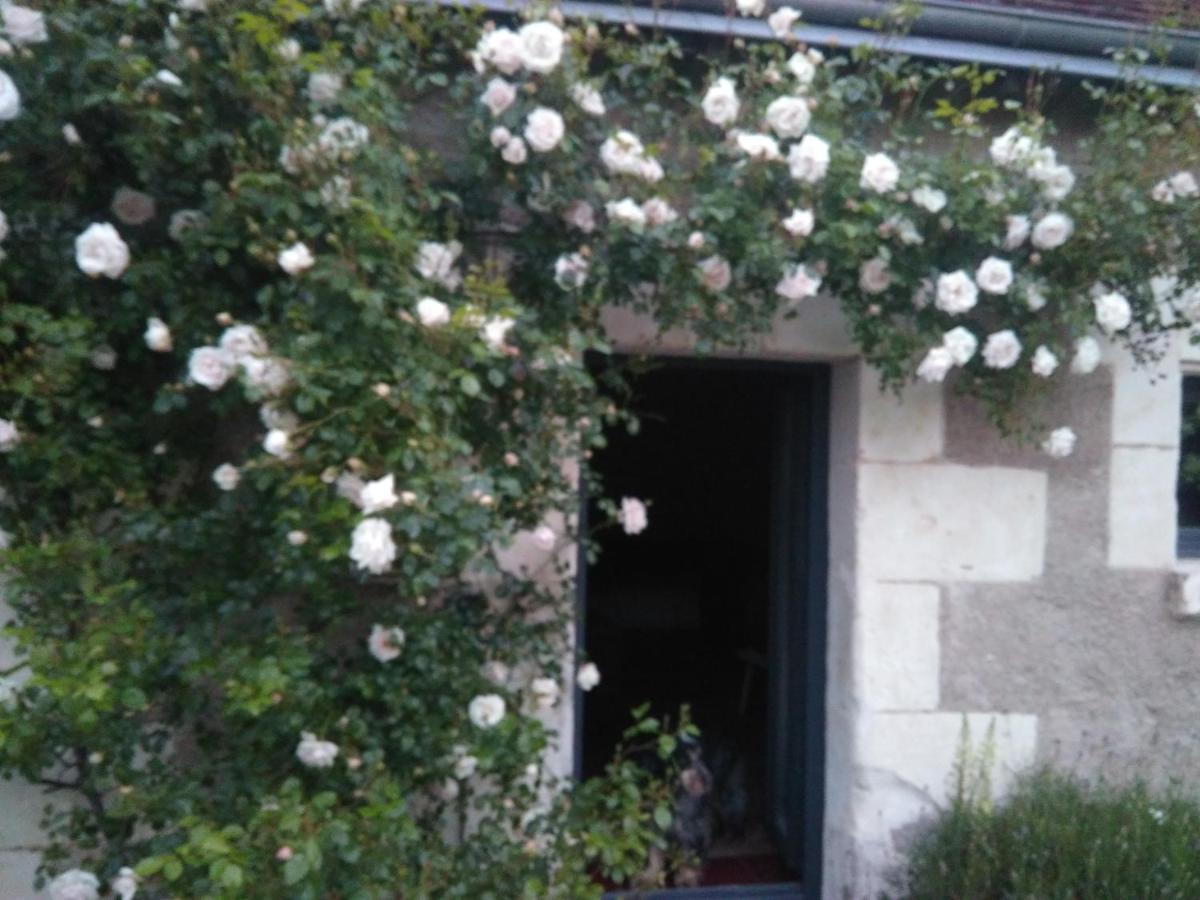 فيلا Au Jardin De La Marquetterie Cigogne المظهر الخارجي الصورة