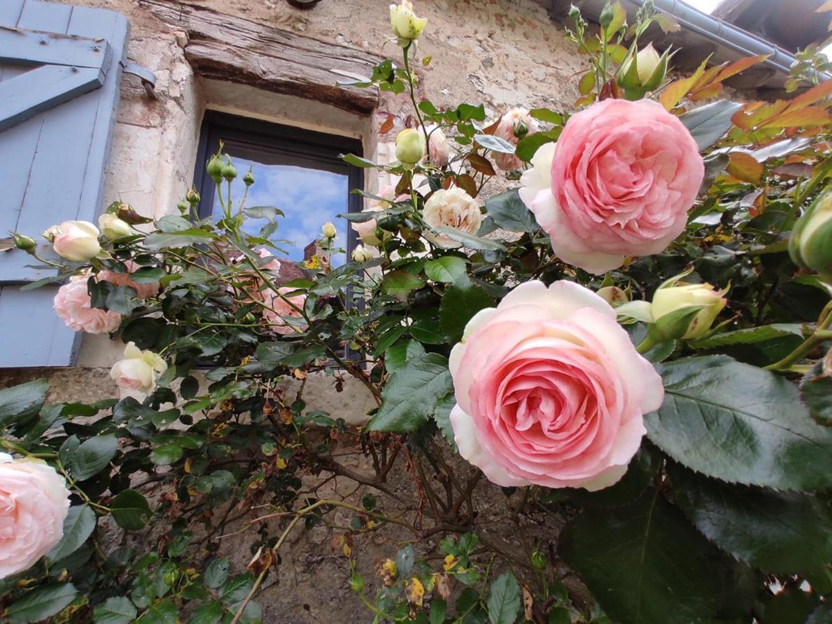 فيلا Au Jardin De La Marquetterie Cigogne المظهر الخارجي الصورة