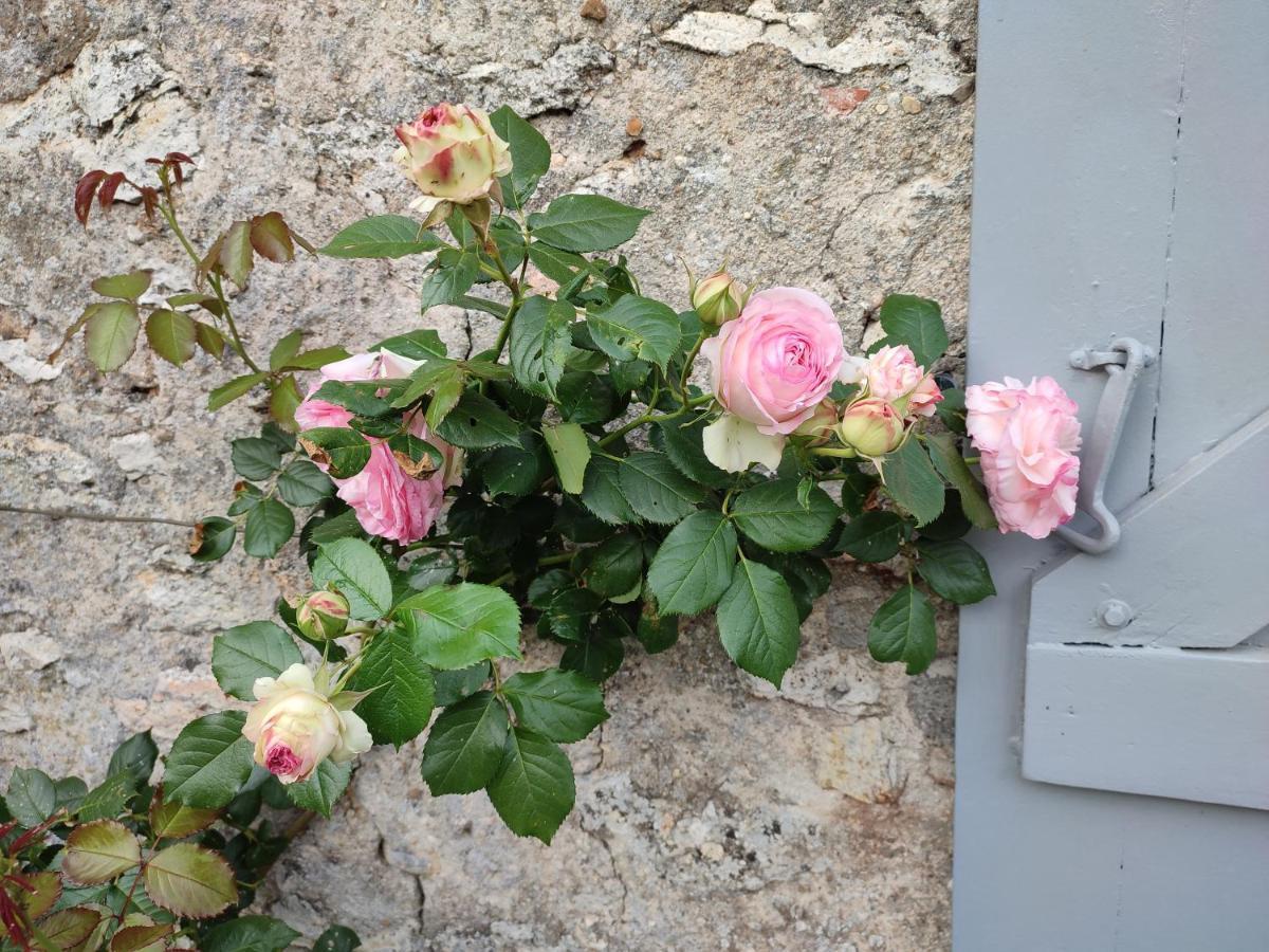 فيلا Au Jardin De La Marquetterie Cigogne المظهر الخارجي الصورة