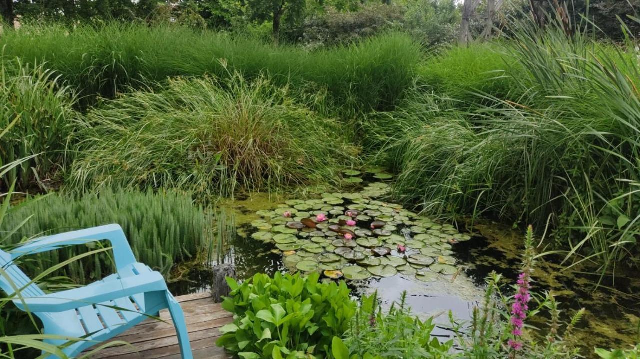 فيلا Au Jardin De La Marquetterie Cigogne المظهر الخارجي الصورة
