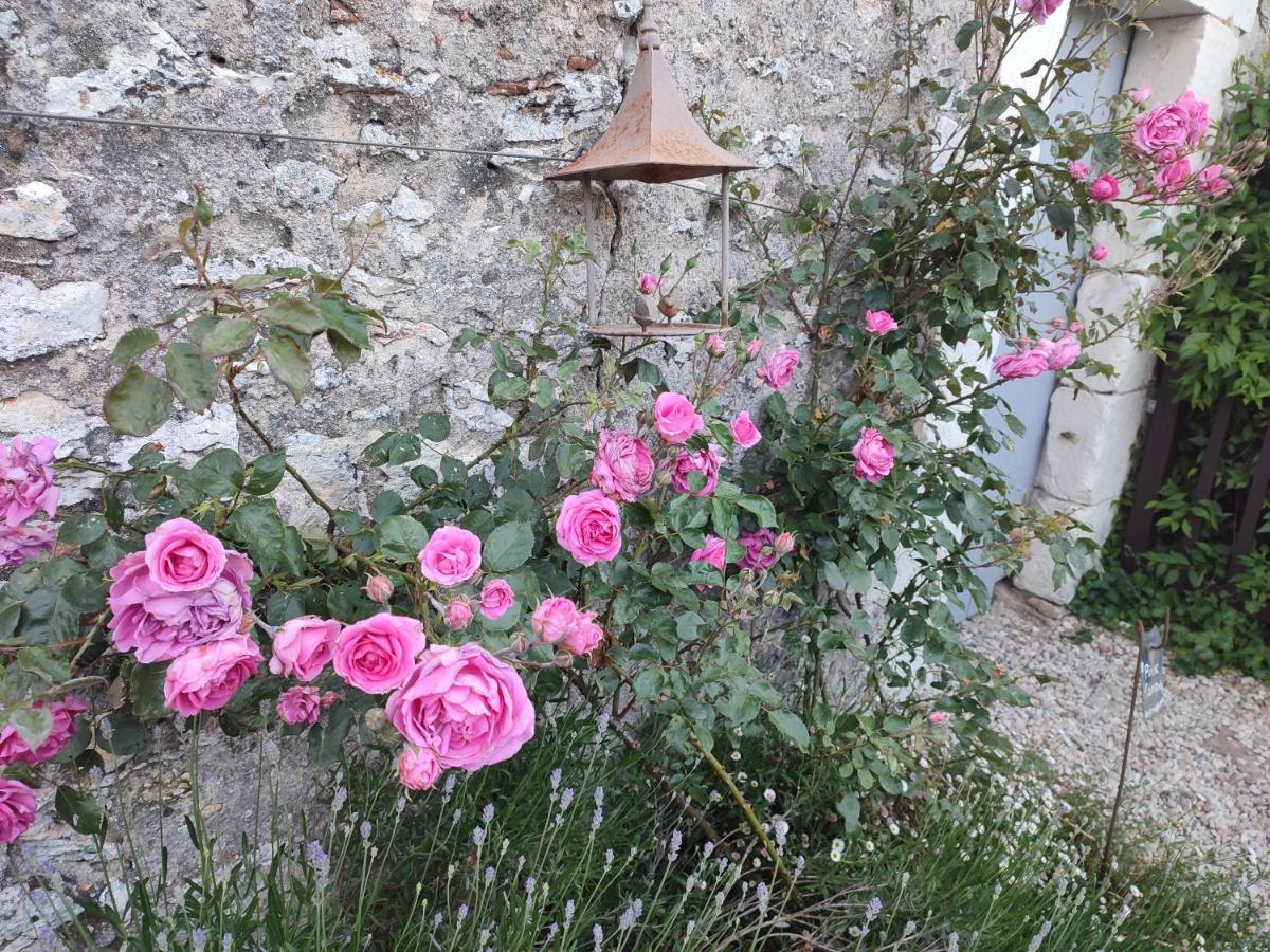 فيلا Au Jardin De La Marquetterie Cigogne المظهر الخارجي الصورة